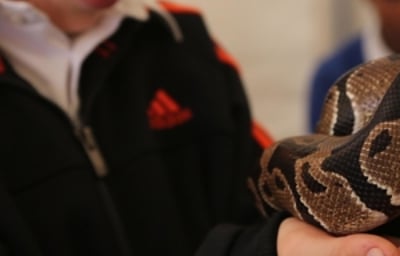 Countryside live event