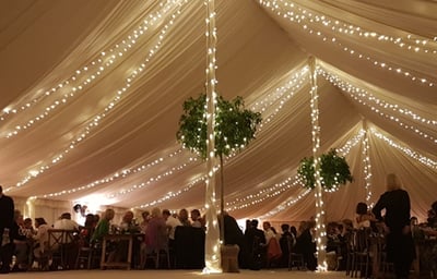 Pealights & Uplighters in Traditional with lining