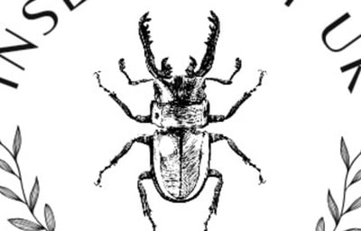 Insect City UK Logo