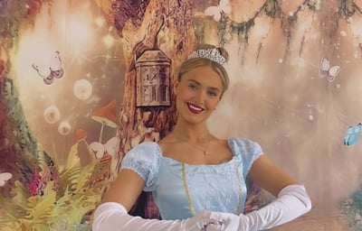 The Glass Slipper Princess.jpeg