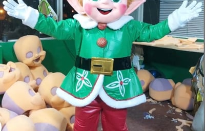 Jingles the Elf