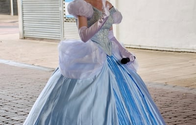 Glass Slipper Princess
