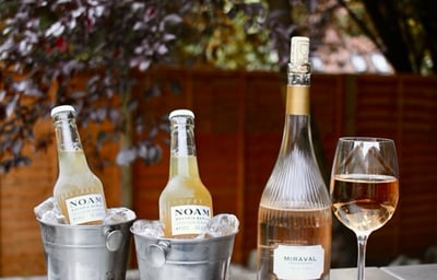 Noam Lager & Miraval Sainte Victoire.jpeg