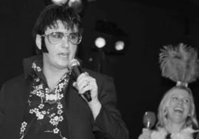 ELVIS in CONCERT by ANDY JAMES