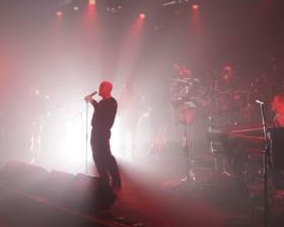 STILL COLLINS #1 Phil Collins Tribute Band