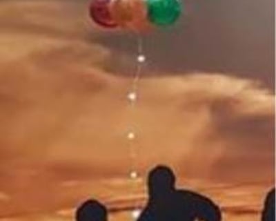 Autumn leaves bubble