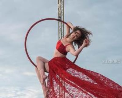 Aerial Hoop