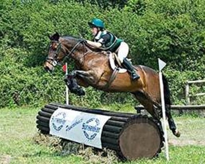 Equestrian Cross Country