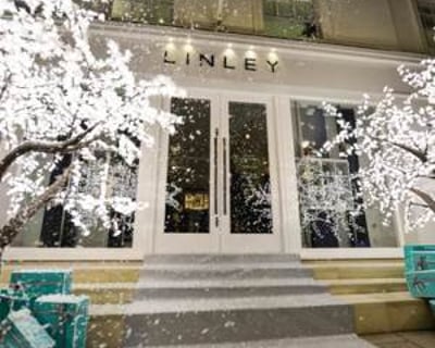 3m Grande in the Snow at the LINLEY Christmas Party