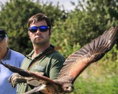 Falconry Exp Pic