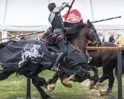 001 Cavalry of Heroes Medieval Jousting Knights on Horseback at Usk Show Monmouth Larry Weaver Photos
