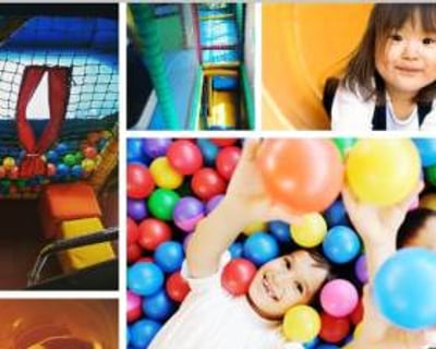 Adventure Bus Dorset 1