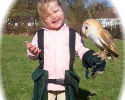 Experiences open to almost all age groups