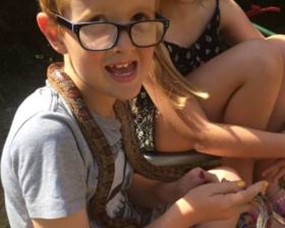 Meeting Cornelia the Corn Snake