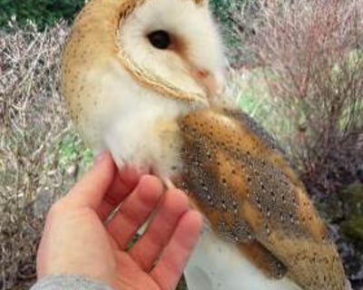 53625668_918052981865838_35519637235957760_o (1)