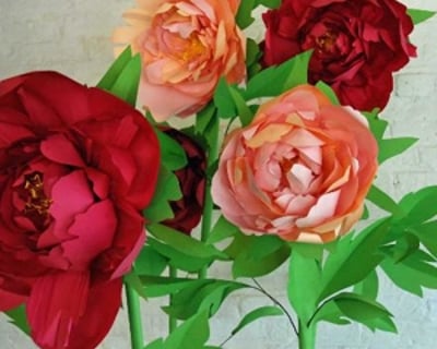 Giant paper peonies. 