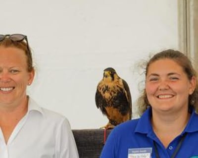 CJ'S BIRDS OF PREY TEAM