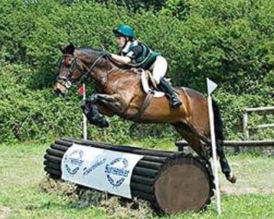 Equestrian Cross Country