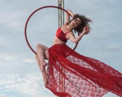 Aerial Hoop