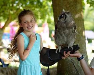 Handle Birds of Prey