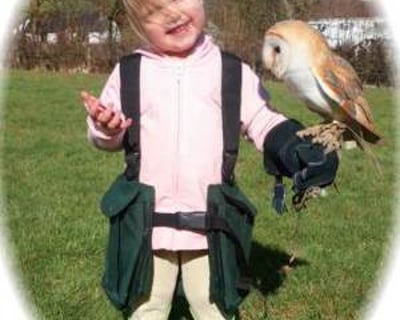 Experiences open to almost all age groups