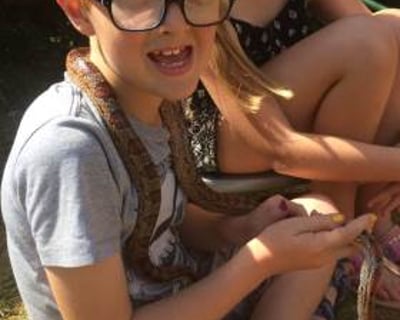 Meeting Cornelia the Corn Snake