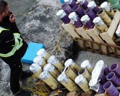 Professional Firework Displays