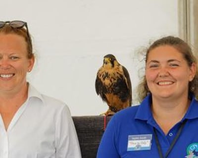 CJ'S BIRDS OF PREY TEAM