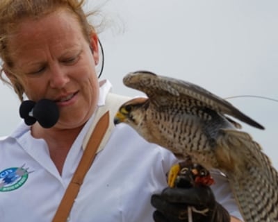 The owner, Charlotte Hill with one of her birds