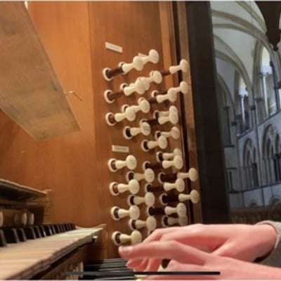 Organists
