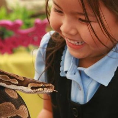 Reptile and Insect Encounters