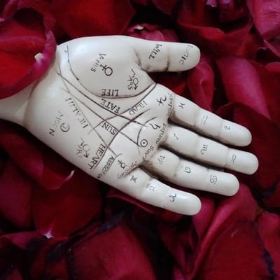 Tarot & Palm Readers