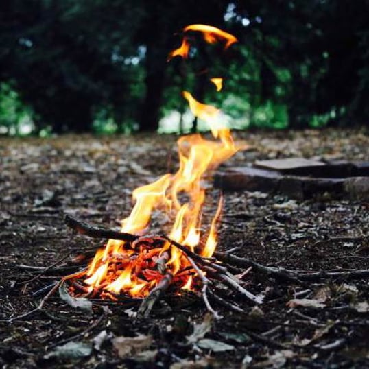 Bushcraft Experience