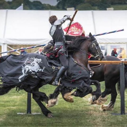 Historical Reenactments