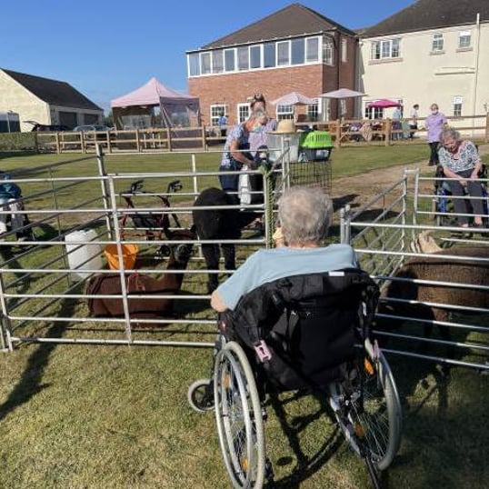 Mobile Farm & Animal Experiences