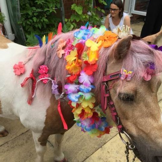 Pony Party