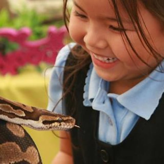Reptile & Insect Encounters