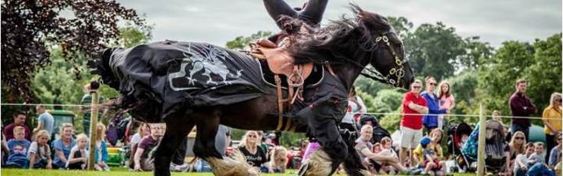 Horse Displays in Innerleithen