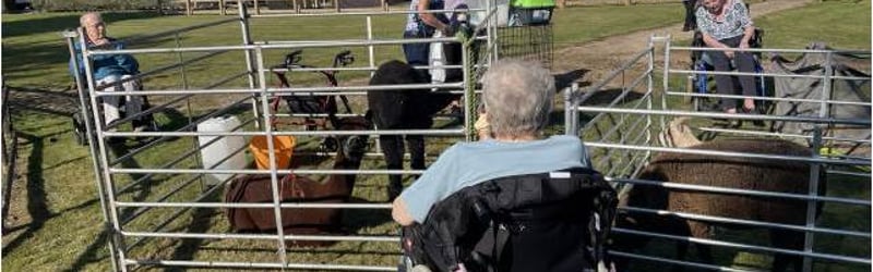 Mobile Farm & Animal Experiences in Otley