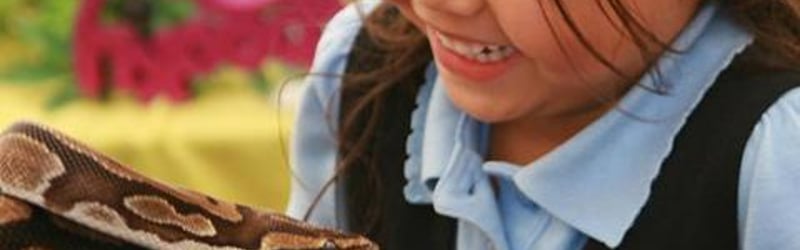 Reptile & Insect Encounters in Otley