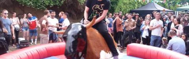 Rodeo Bulls in Bo'ness