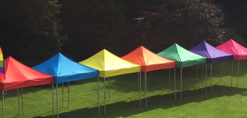 Multi colour row from above 2.jpg