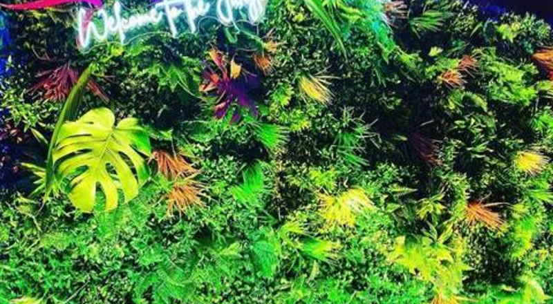 Backdrops in Kirkintilloch