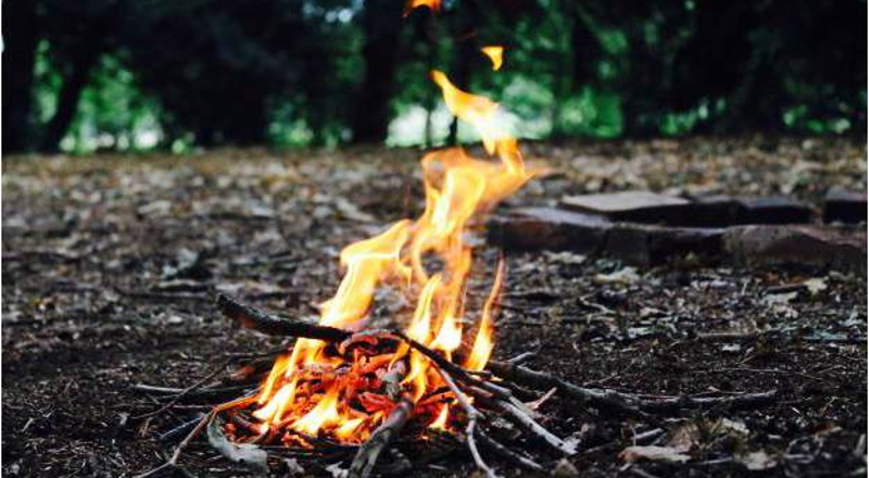 Bushcraft Experience in Framlingham