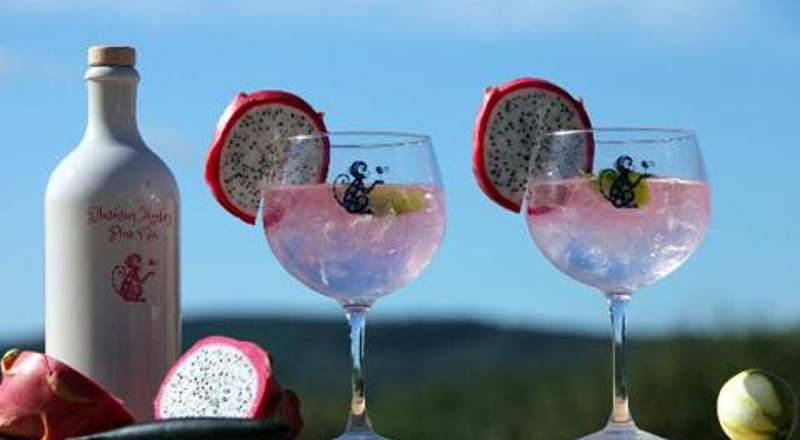 Gin Tasting in Dunfermline