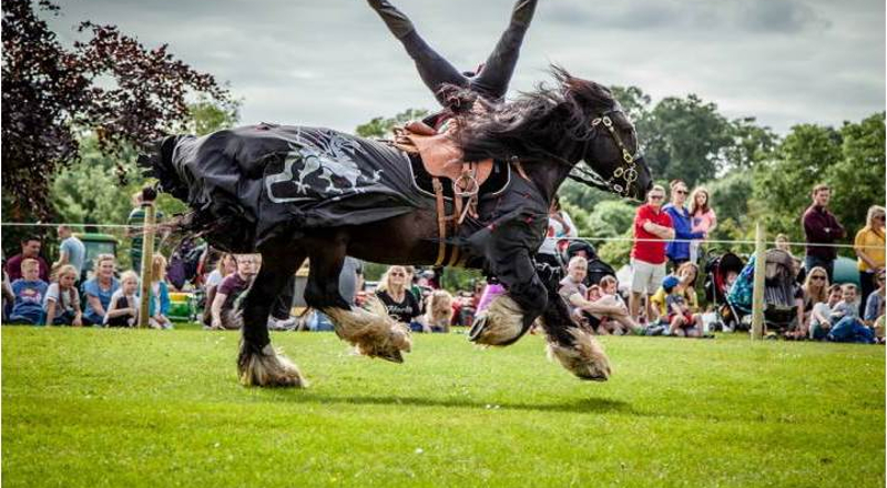 Horse Displays in Penicuik