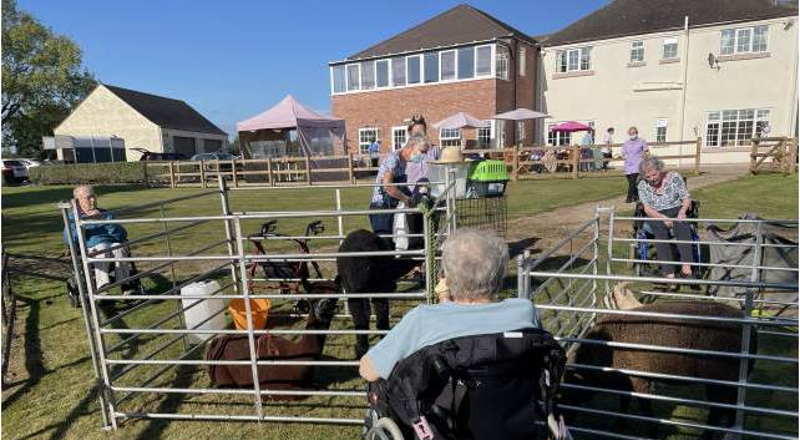 Mobile Farm & Animal Experiences in Wetherby