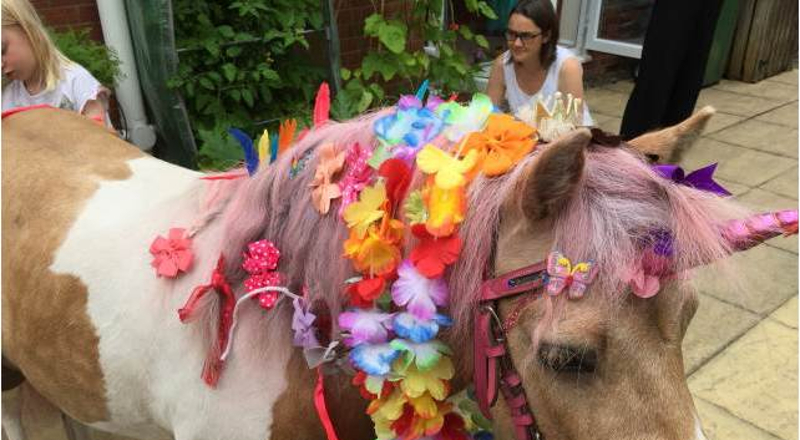 Pony Party in Corrigall