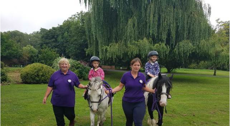 Pony Rides in Totton