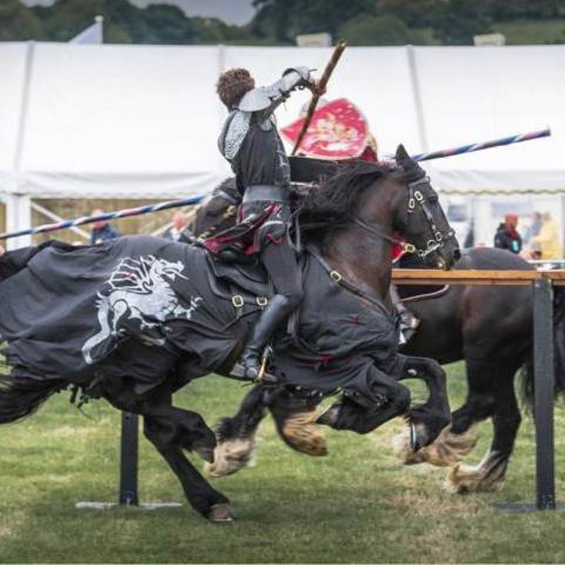 Historical Reenactments